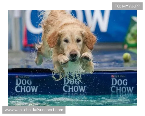 跳水细腻入水成为评分决定性因素