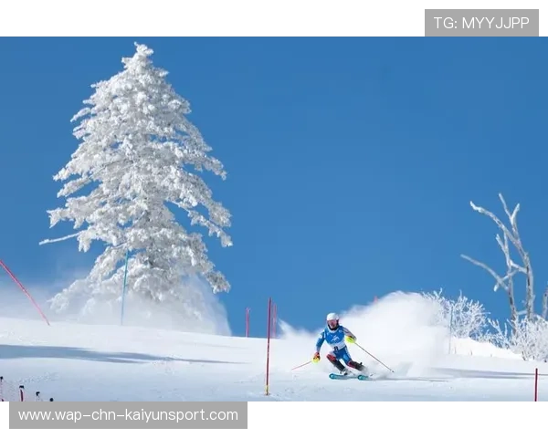 高山滑雪赛道突风，赛事紧急取消并登上头条