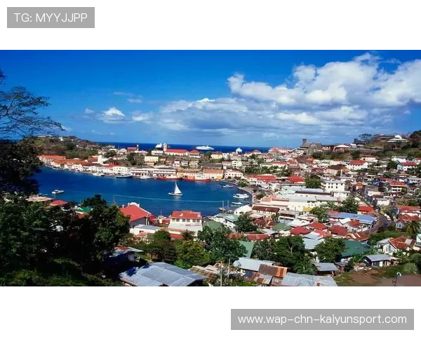 格林纳达拳击运动逐渐走红,格林纳达历史 格林纳达拳击运动逐渐走红,格林纳达历史